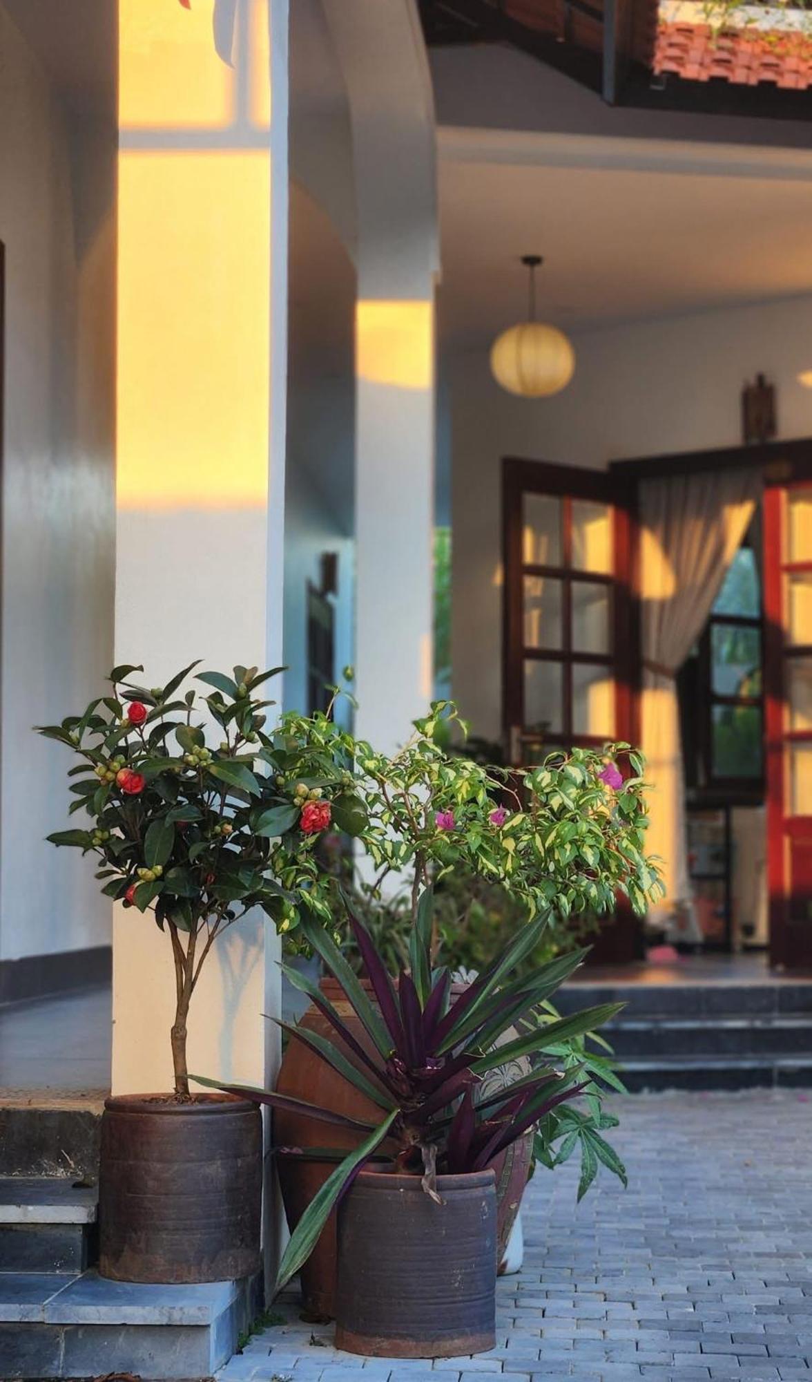 Anio Ha Giang Hotel エクステリア 写真